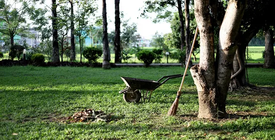 entretien-parc-et-jardin-33